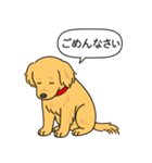ゴールデンレトリバー (ゴールド)（個別スタンプ：4）