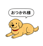 ゴールデンレトリバー (ゴールド)（個別スタンプ：5）