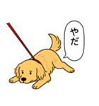ゴールデンレトリバー (ゴールド)（個別スタンプ：8）