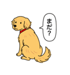 ゴールデンレトリバー (ゴールド)（個別スタンプ：12）