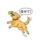 ゴールデンレトリバー (ゴールド)（個別スタンプ：13）