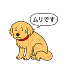 ゴールデンレトリバー (ゴールド)（個別スタンプ：14）