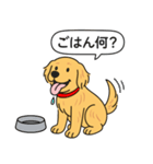 ゴールデンレトリバー (ゴールド)（個別スタンプ：16）