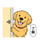 ゴールデンレトリバー (ゴールド)（個別スタンプ：19）