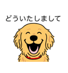 ゴールデンレトリバー (ゴールド)（個別スタンプ：22）