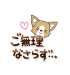 『チワワ 犬スタンプ』敬語（個別スタンプ：3）