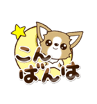 『チワワ 犬スタンプ』敬語（個別スタンプ：8）