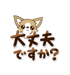 『チワワ 犬スタンプ』敬語（個別スタンプ：9）