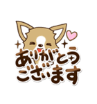 『チワワ 犬スタンプ』敬語（個別スタンプ：13）