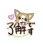 『チワワ 犬スタンプ』敬語（個別スタンプ：15）