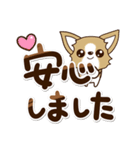 『チワワ 犬スタンプ』敬語（個別スタンプ：22）