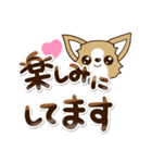 『チワワ 犬スタンプ』敬語（個別スタンプ：25）