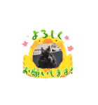 ラズちゃん（敬語）（個別スタンプ：2）