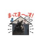 ラズちゃん（敬語）（個別スタンプ：8）