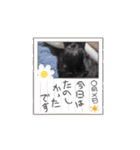 ラズちゃん（敬語）（個別スタンプ：14）