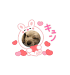はくの可愛いスタンプ❤︎（個別スタンプ：4）