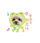 はくの可愛いスタンプ❤︎（個別スタンプ：10）