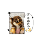 Patoru_Nuua（個別スタンプ：7）