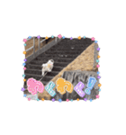 ぼくもちの動くスタンプ（個別スタンプ：11）