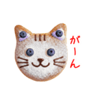 マラサダドーナツの猫、ふわっと一言（個別スタンプ：10）