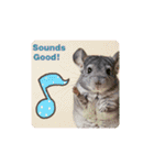 OK！series chinchilla dog（個別スタンプ：5）