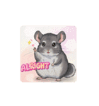 OK！series chinchilla dog（個別スタンプ：11）