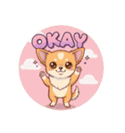 OK！series chinchilla dog（個別スタンプ：21）