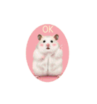 OK！series chinchilla dog（個別スタンプ：37）