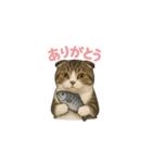 わが家のむぎ君①（個別スタンプ：1）