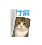 わが家のむぎ君①（個別スタンプ：2）