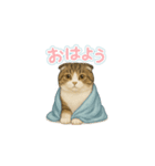 わが家のむぎ君①（個別スタンプ：6）