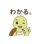 亀のご挨拶（個別スタンプ：2）