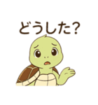 亀のご挨拶（個別スタンプ：5）
