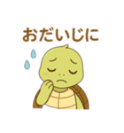 亀のご挨拶（個別スタンプ：24）