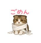 わが家のむぎ君②（個別スタンプ：1）