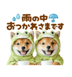 梅雨初夏♡わんこ（個別スタンプ：4）