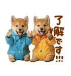 梅雨初夏♡わんこ（個別スタンプ：15）