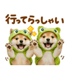 梅雨初夏♡わんこ（個別スタンプ：18）