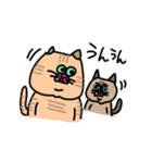 MEZ.ブスかわ猫FAM.1（個別スタンプ：14）