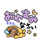 ℃hoco（個別スタンプ：4）
