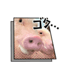 ℃hoco（個別スタンプ：12）