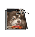 ℃hoco（個別スタンプ：13）