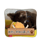 ℃hoco（個別スタンプ：14）
