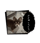 ℃hoco（個別スタンプ：15）