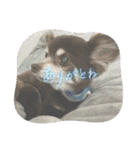 ℃hoco（個別スタンプ：16）
