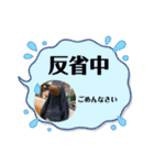 ℃hoco（個別スタンプ：20）