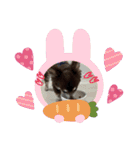 ℃hoco（個別スタンプ：22）