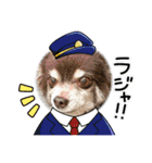 ℃hoco（個別スタンプ：23）