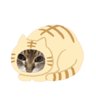 ℃hoco（個別スタンプ：27）