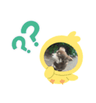 ℃hoco（個別スタンプ：32）